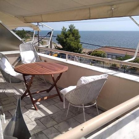 Super View Seafront Apartment Неа-Міханіона Екстер'єр фото